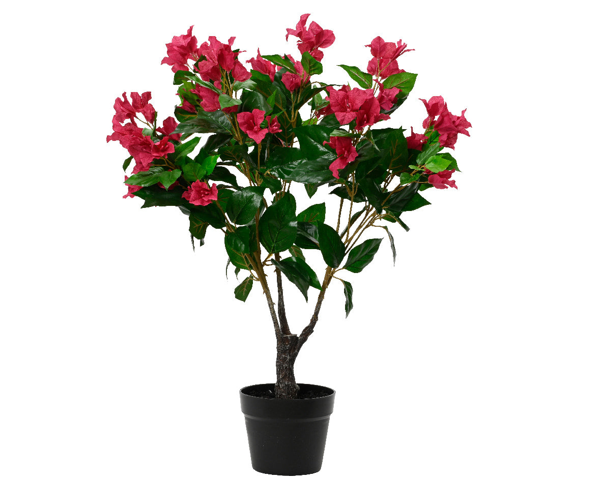 Bougainvillea artificiale