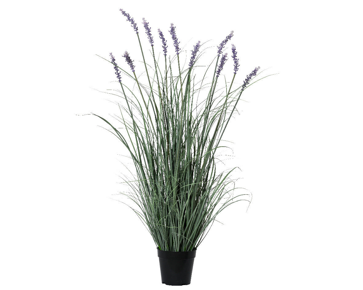 Pianta Lavanda in Vaso 30×30×96 cm – (cod.811615)- Kaemingk