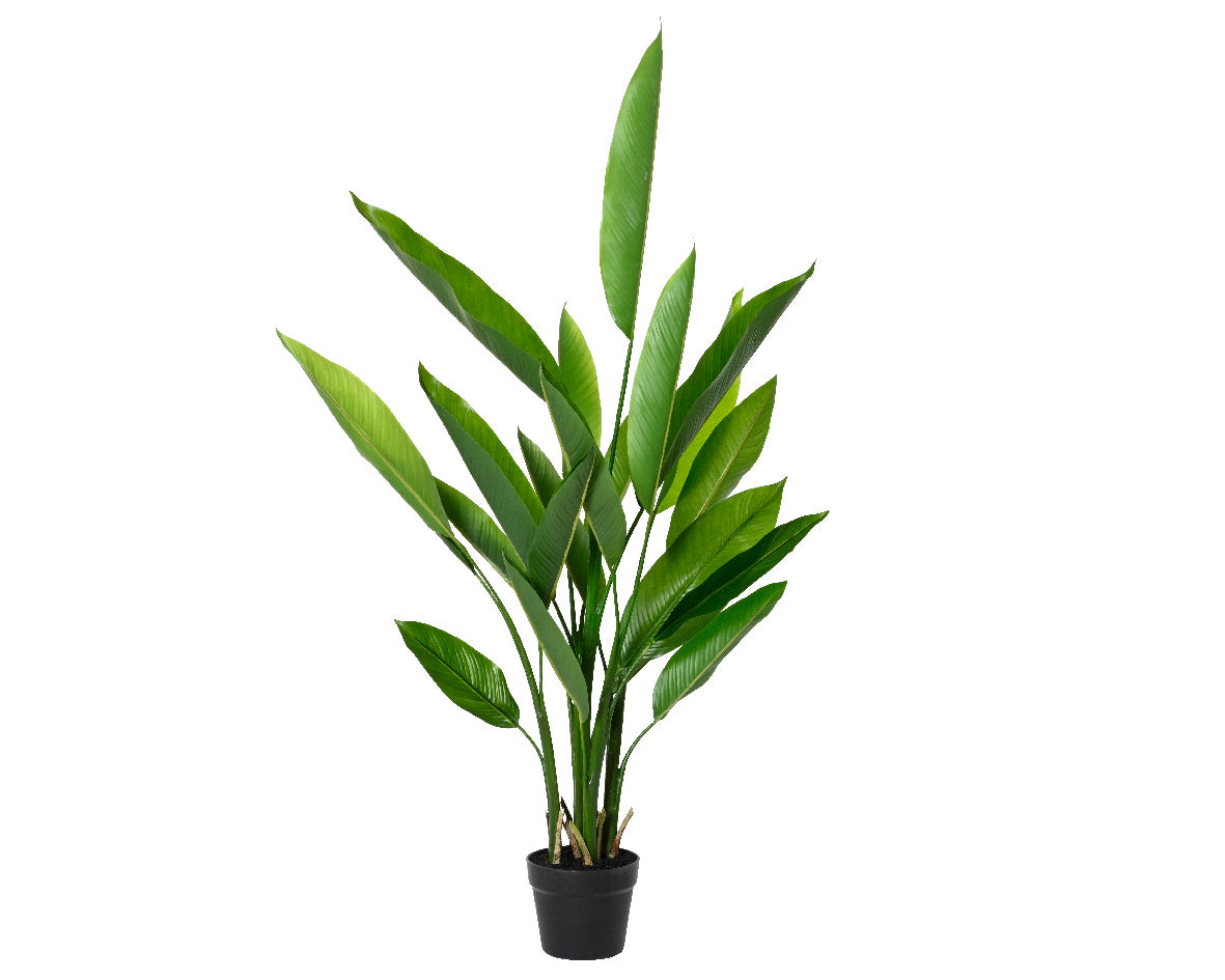 Pianta Heliconia in Vaso Ø60×110 cm –(cod. 835087)- Kaemingk