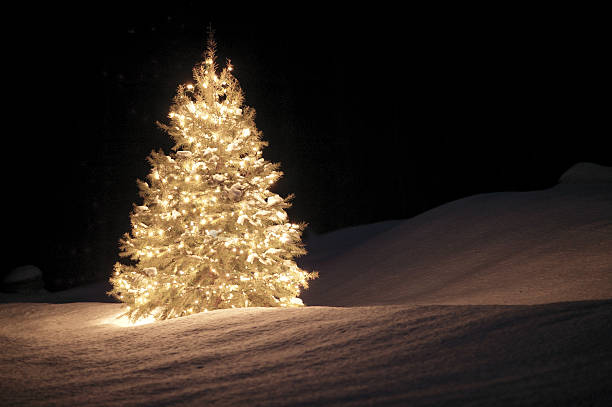 Alberi di Natale con LUCI INCORPORATE