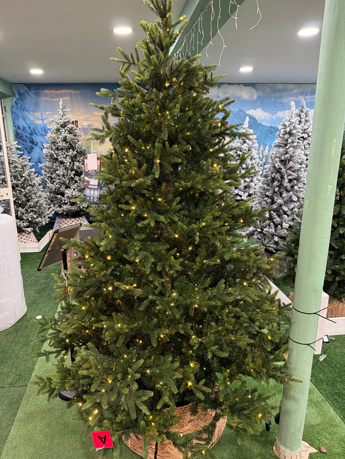 Albero di Natale Nordmann Fir 240 cm con 1200 Micro LED – Ø165 cm Everlands