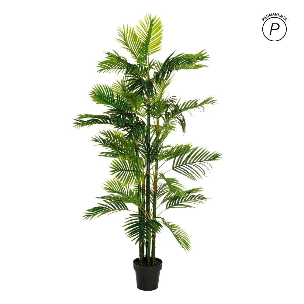 Pianta Areca Palma Verde Artificiale 170 cm