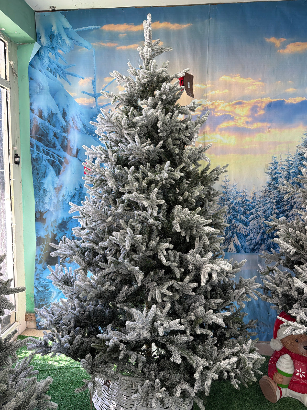 Albero di Natale Nordmann Fir Snowy 240 cm Ø165 cm – 4.754 Punte PE/PVC