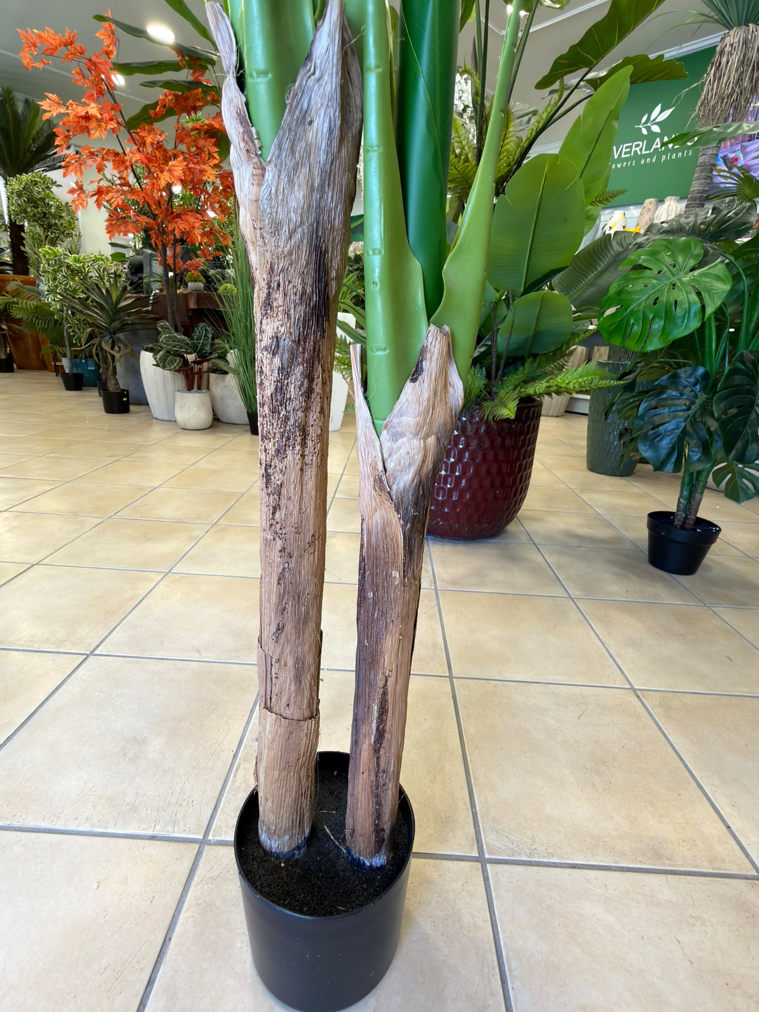 Banano Artificiale 160 cm - 2 Fusti