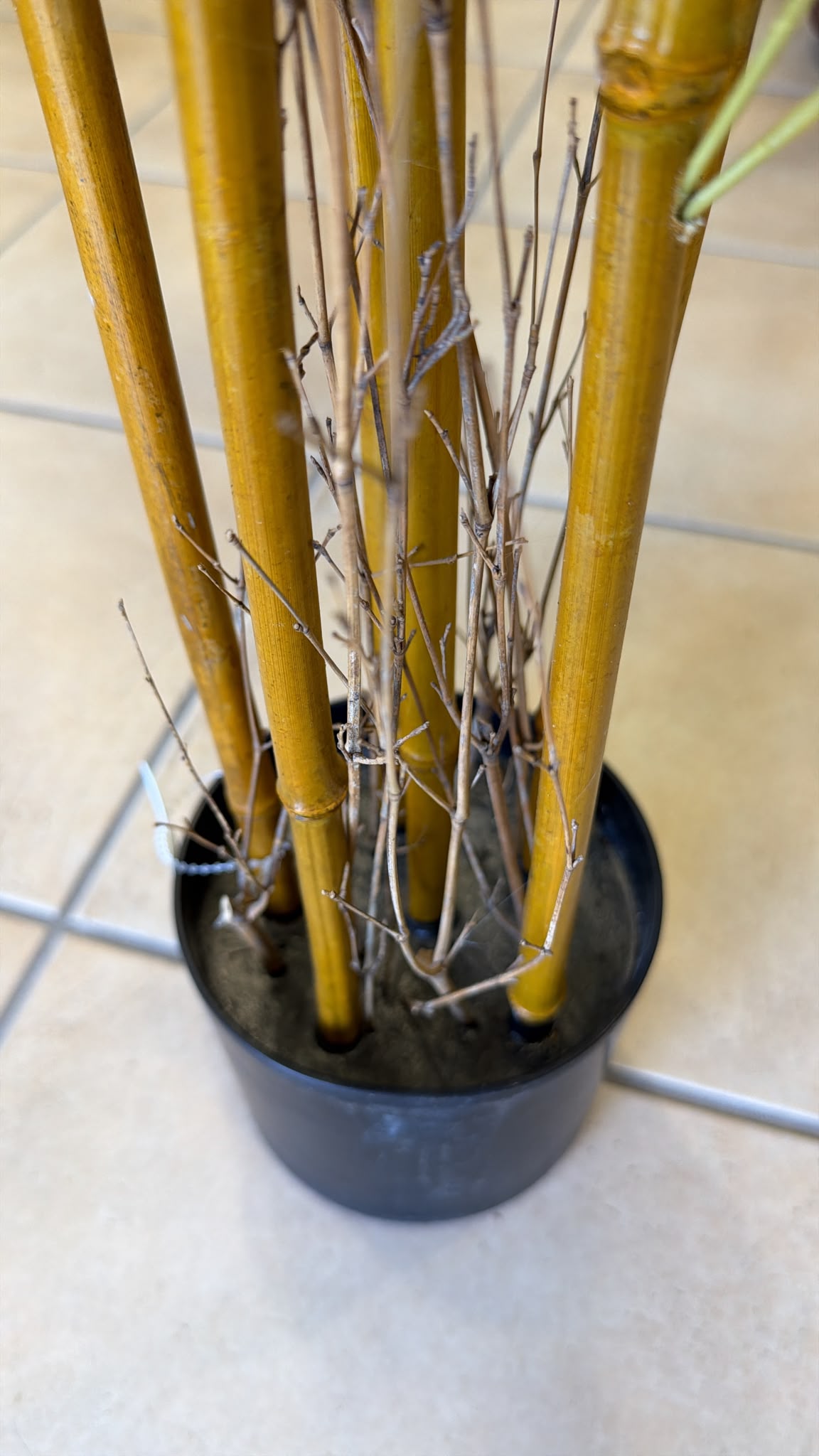 Pianta di Bambu Artificiale 175/180 cm