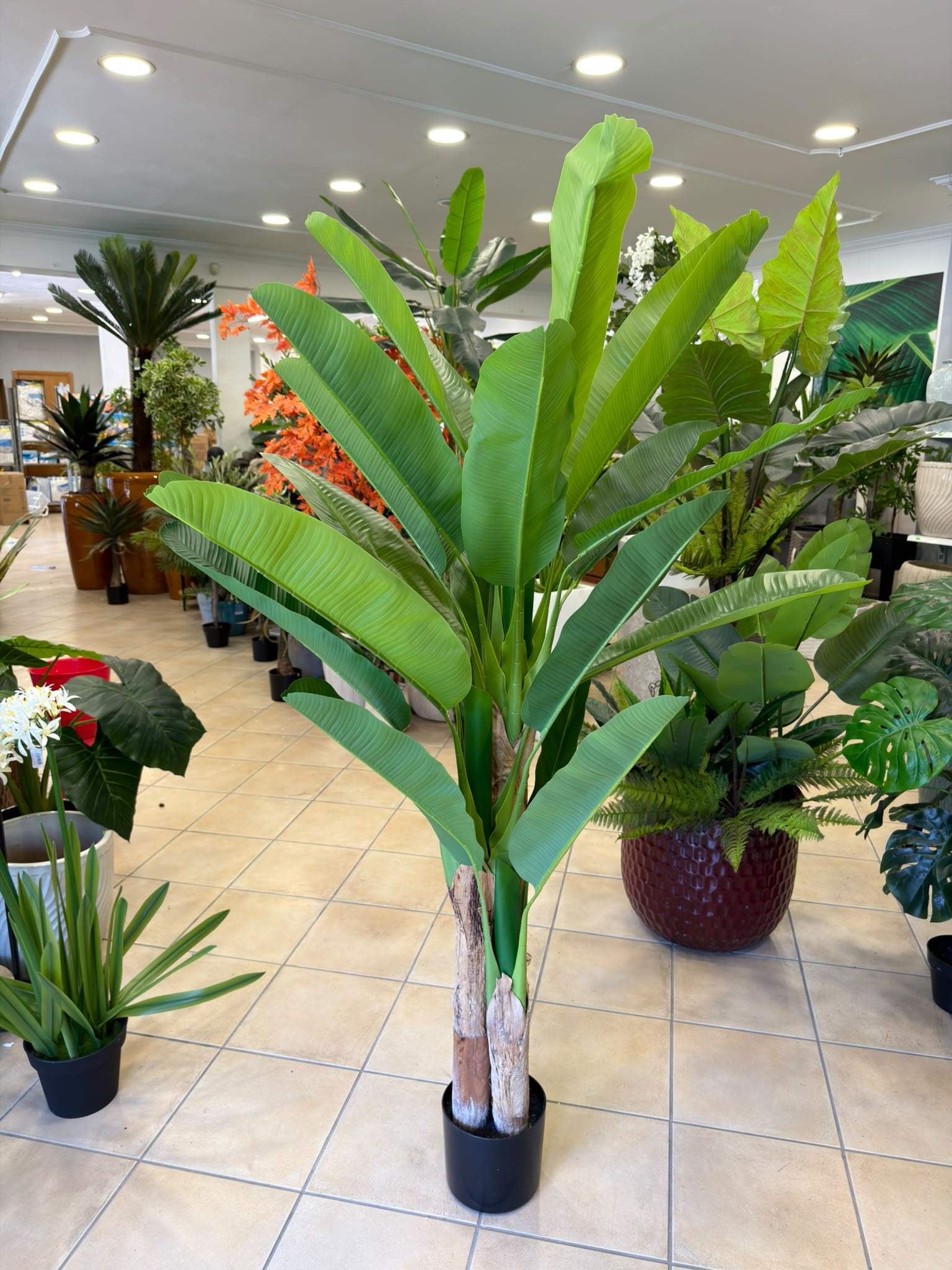 Banano Artificiale 180 cm - 3 Fusti