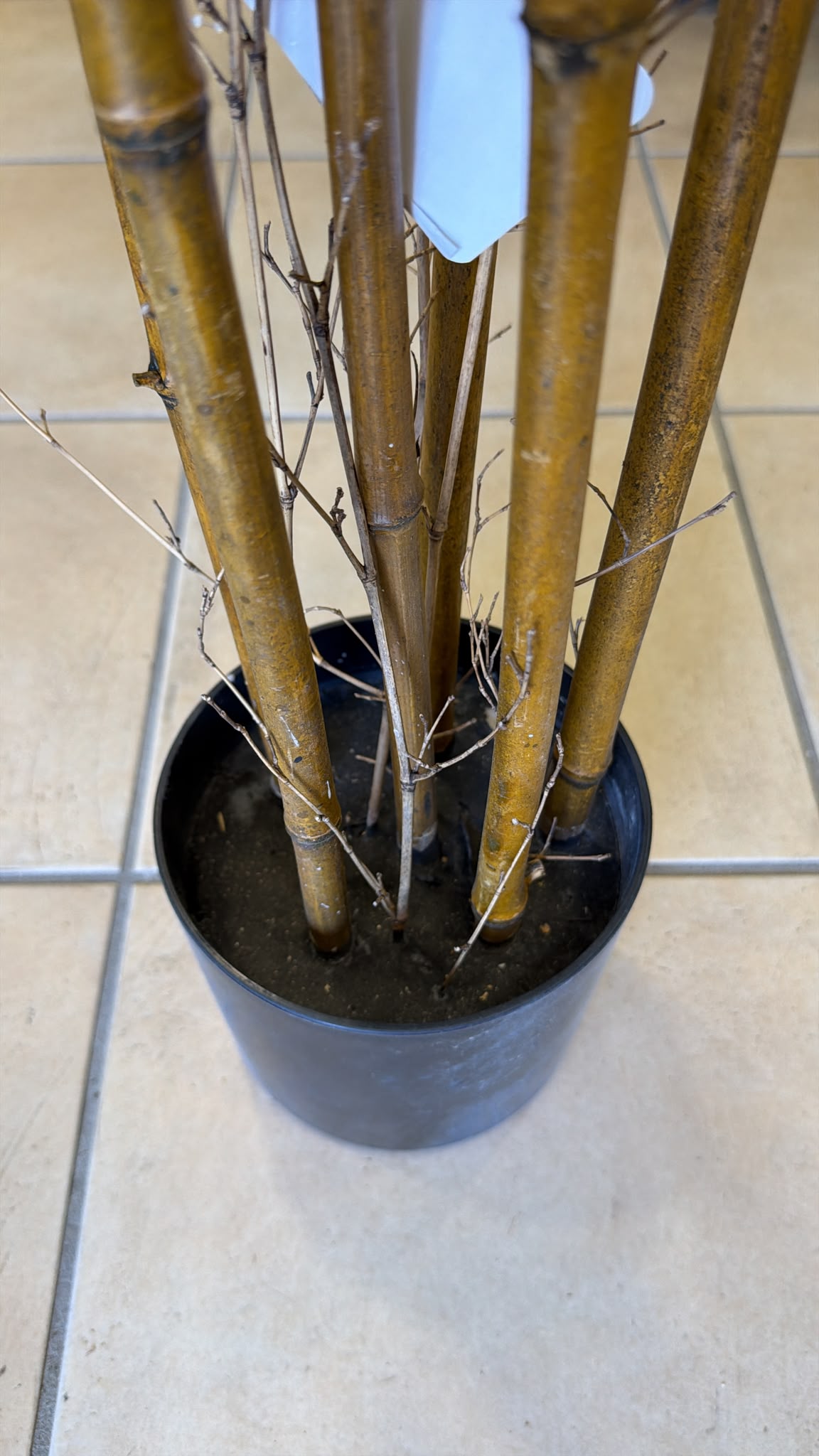Pianta di Bambu Artificiale 200/210 cm