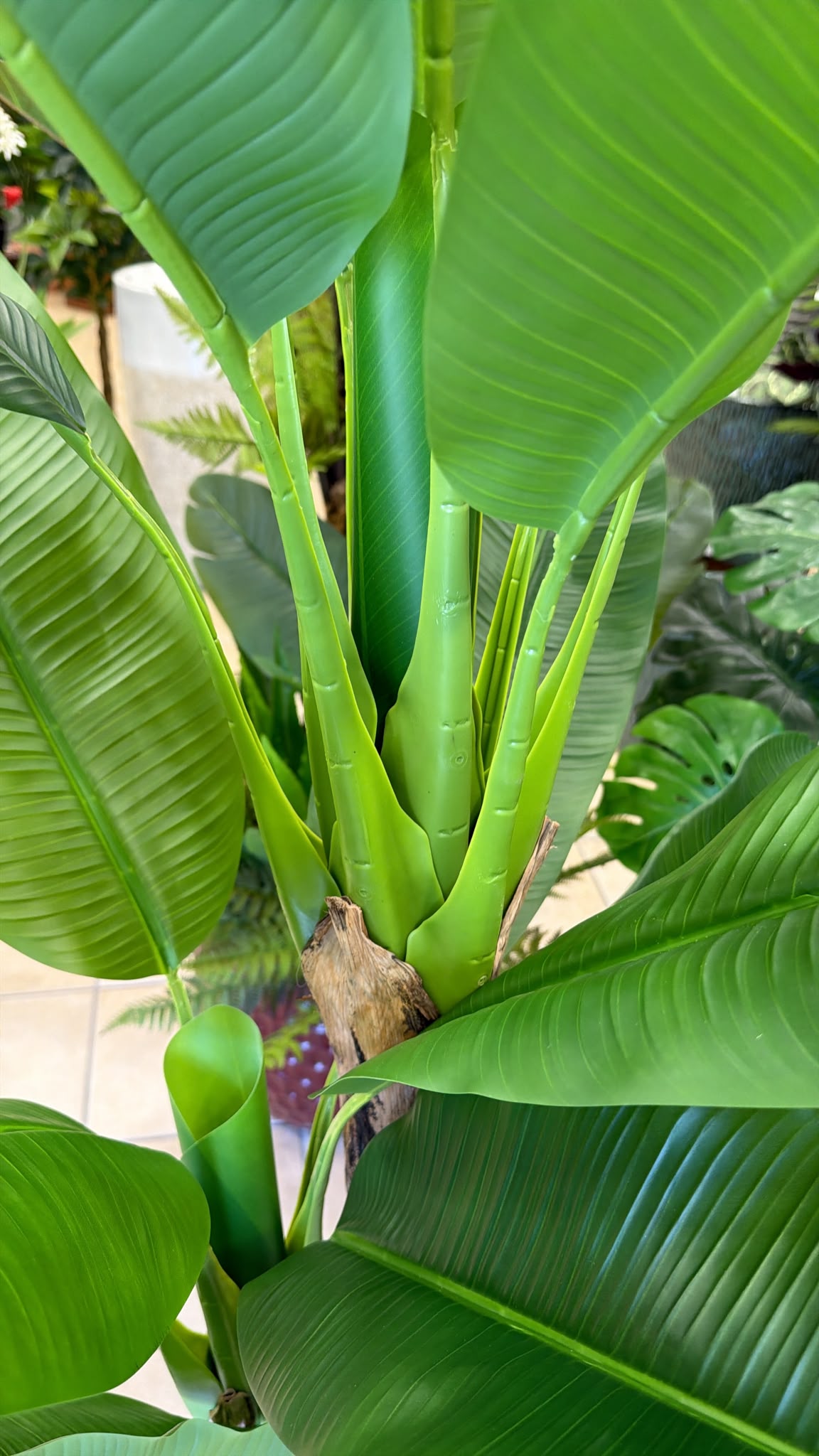 Banano Artificiale 200 cm - 3 Fusti