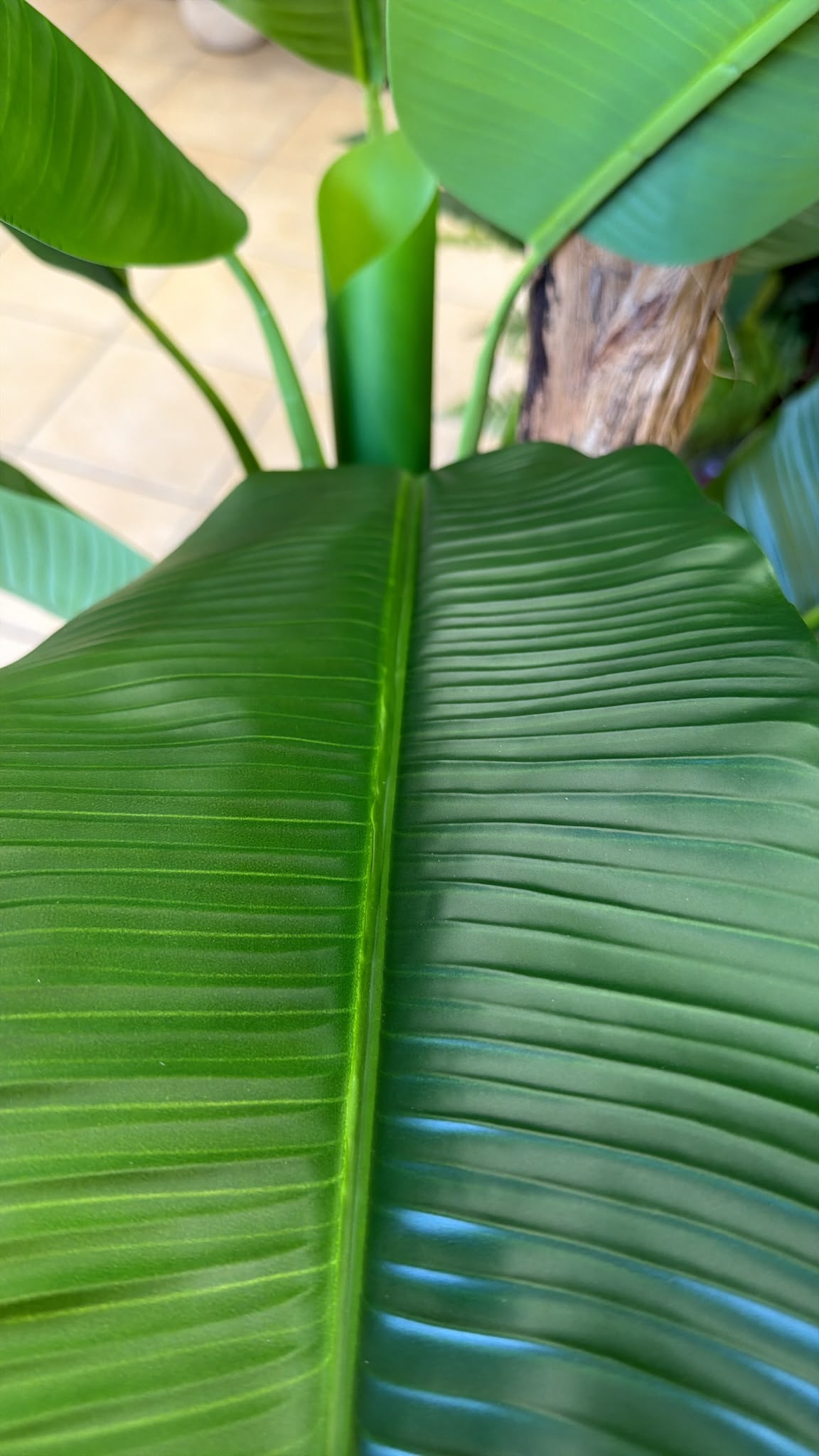 Banano Artificiale 200 cm - 3 Fusti