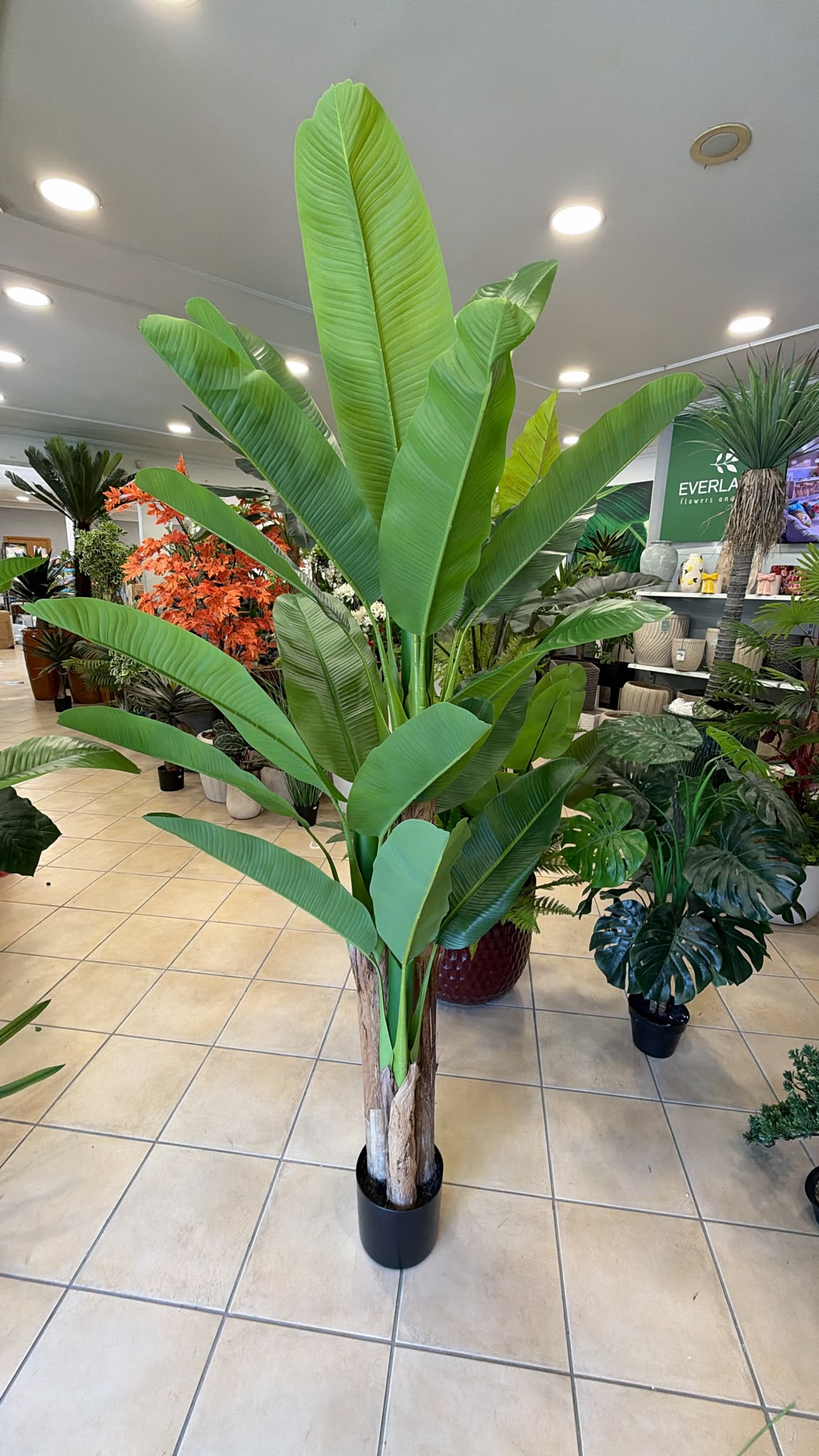 Banano Artificiale 200 cm - 3 Fusti