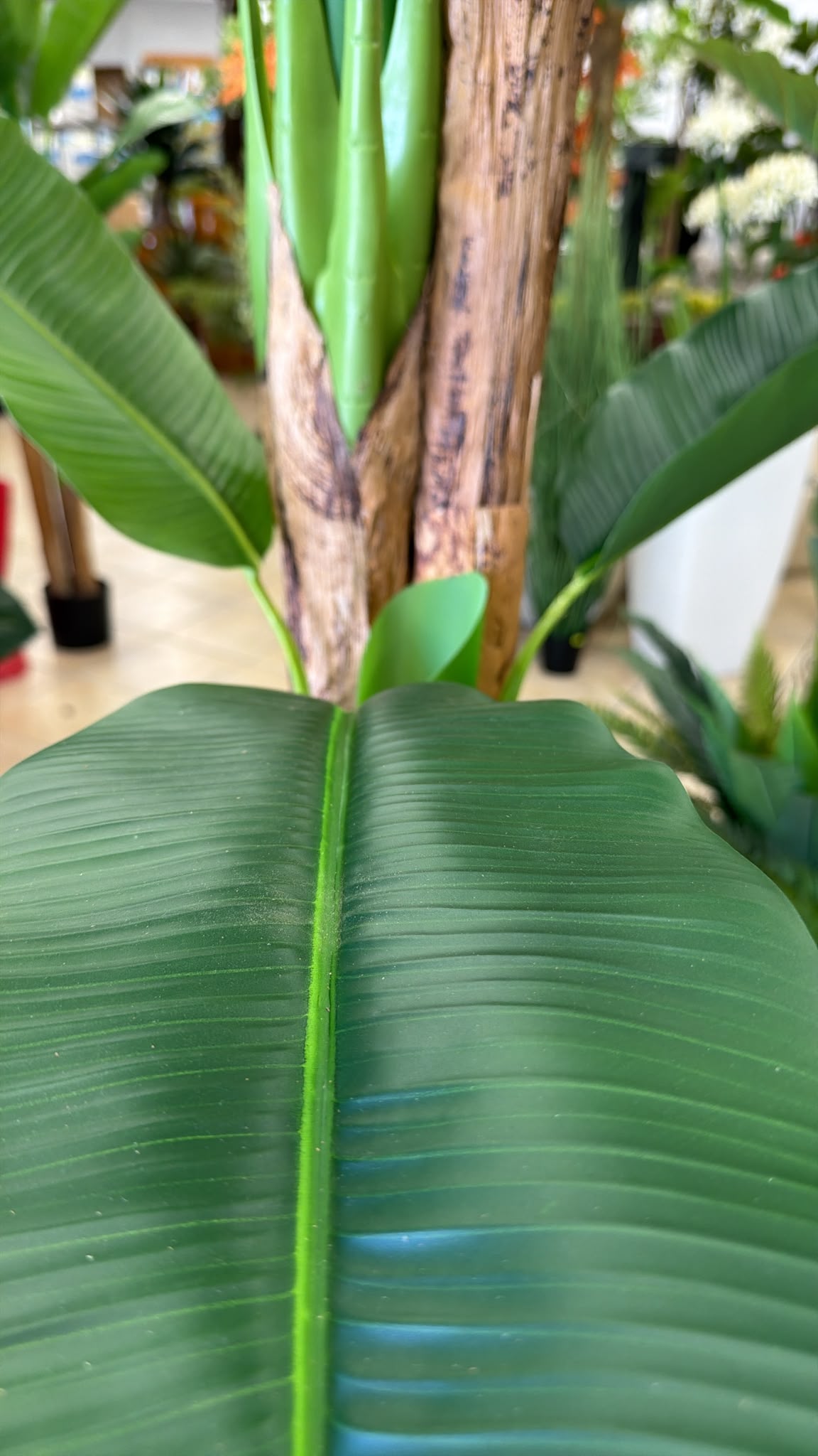 Banano Artificiale 240 cm - 3 Fusti