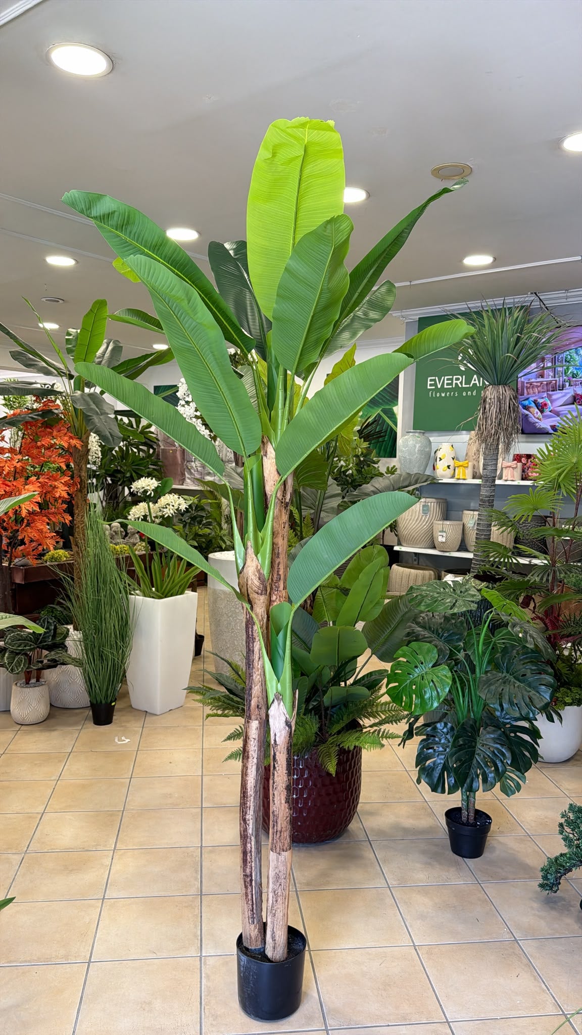 Banano Artificiale 240 cm - 3 Fusti