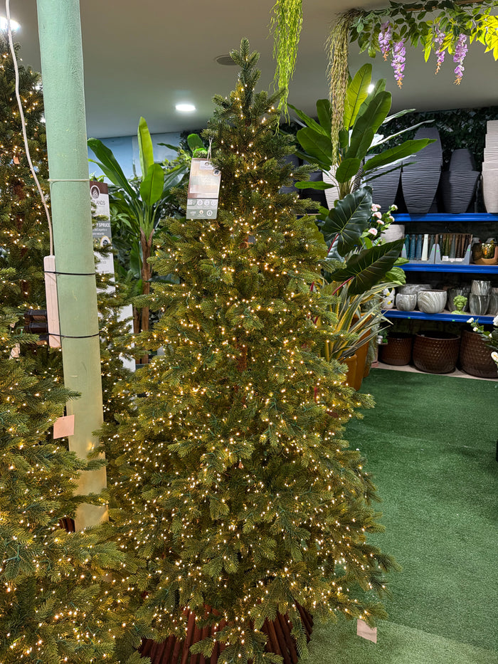 Albero di Natale Galloway Spruce 210 cm Preilluminato con 4000 LED – Ø130 cm Everlands