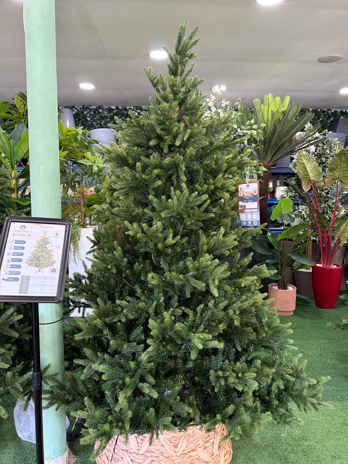 Albero di Natale Nordmann Fir 210 cm con 900 Micro LED – Ø150 cm Everlands