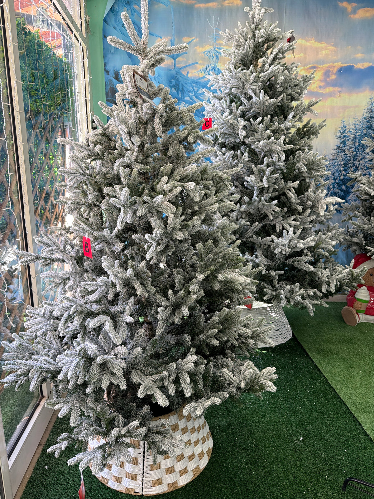 Albero di Natale Nordmann Fir Snowy 180 cm Ø130 cm – 2.599 Punte PE/PVC