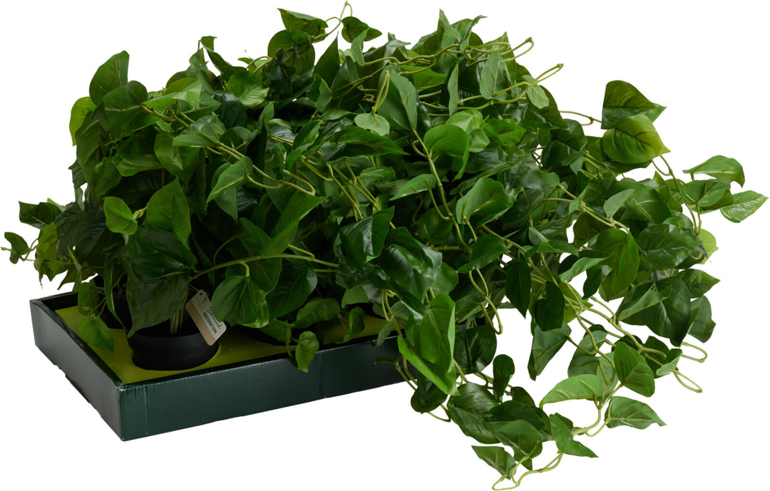 Pianta Pothos Artificiale con Vaso – 10 × 9 cm