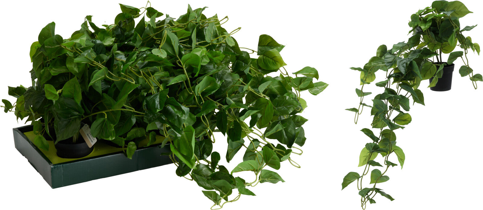 Pianta Pothos Artificiale con Vaso – 10 × 9 cm