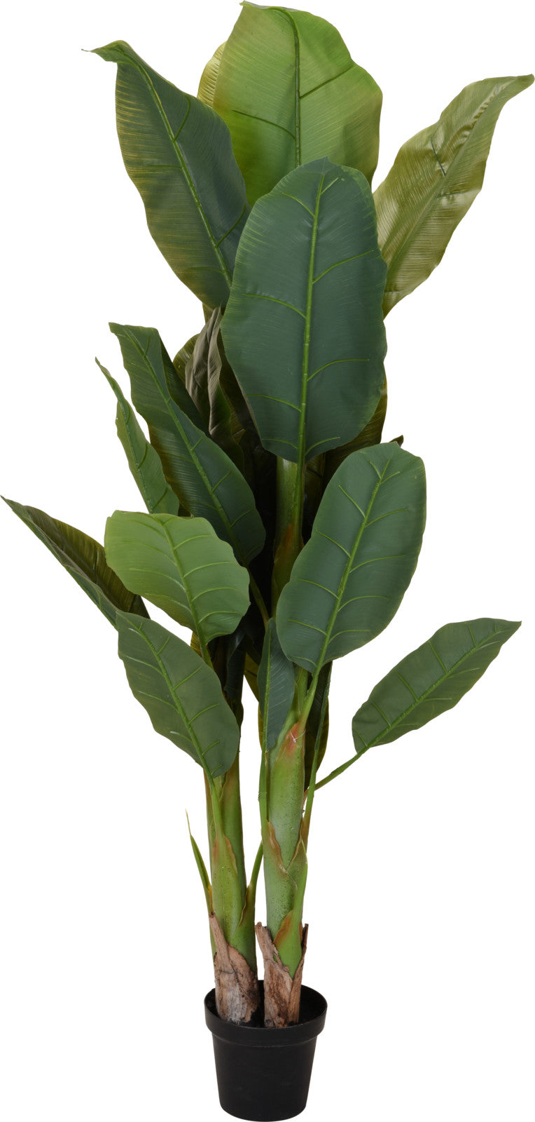 Pianta Banano Artificiale – 165 cm