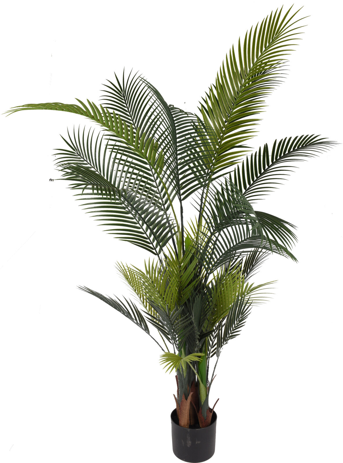 kentia Artificiale  – 160 cm