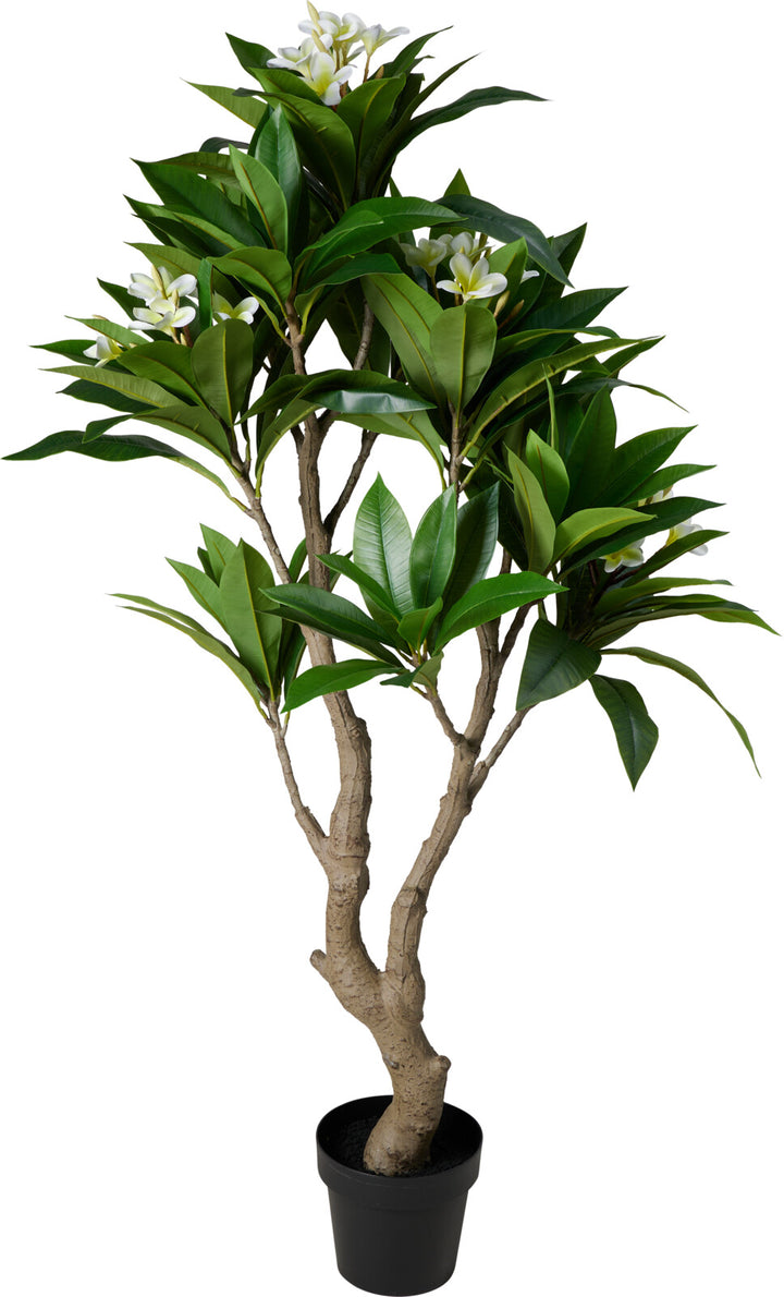 Pianta Artificiale Frangipani con Vaso – 150 cm