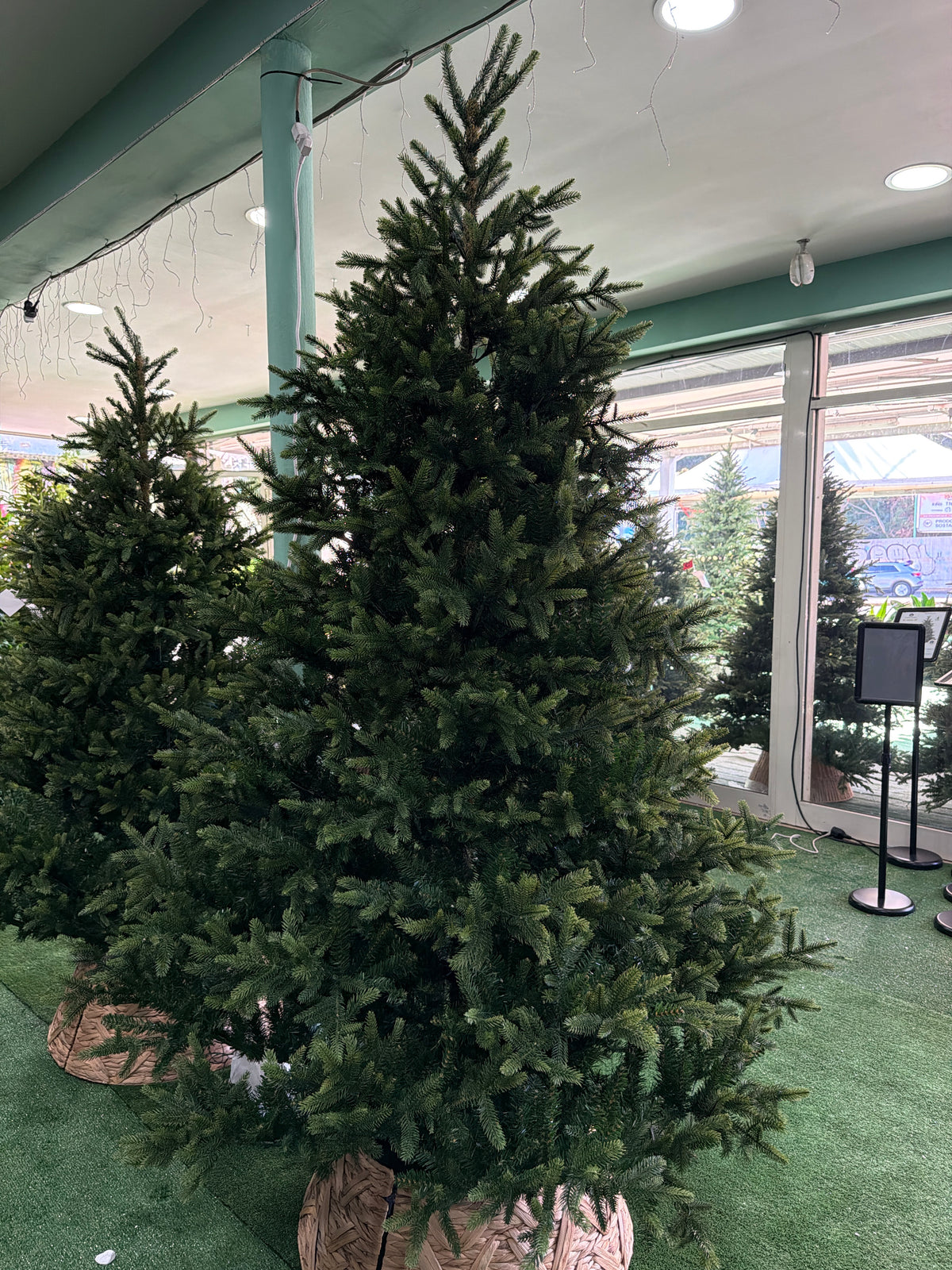 Albero di Natale Nordmann Fir 240 cm Ø165 cm Everlands – 4.754 Punte PE/PVC