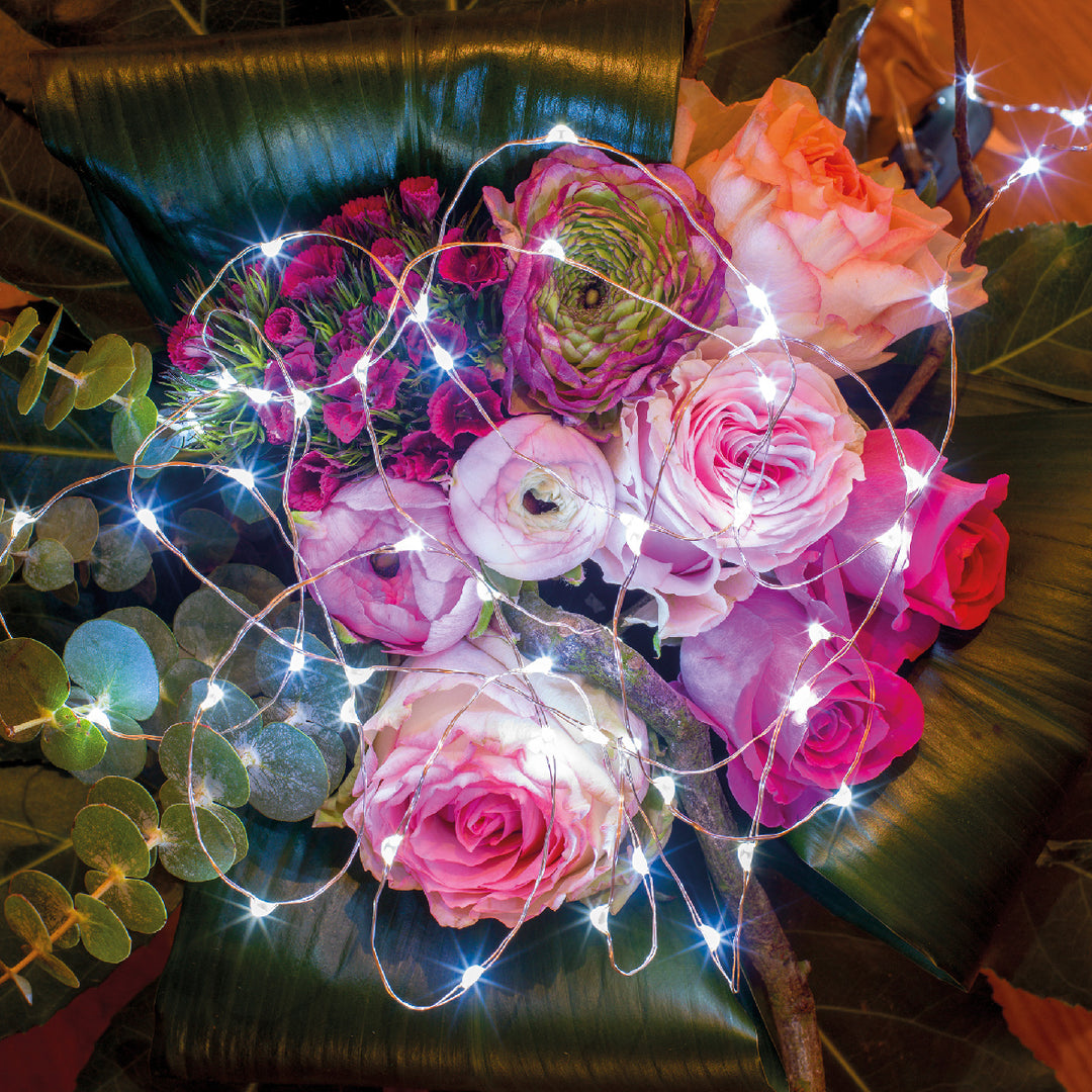 Catena Luminosa a Batteria con 60 Micro LED Bianco Freddo – Cavo Argento, per Interno, Timer 6h (cod. 483801)