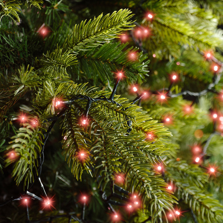 Catena Luminosa LED Compact Lights 750L 16 m – 8 Funzioni Twinkle- Lumineo