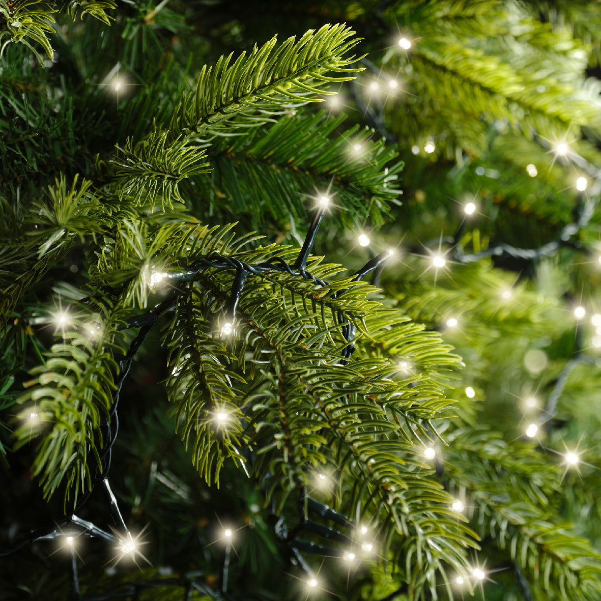 Catena LED Compact 45 m 2000L – 8 Funzioni Twinkle (cod. 495359-60-61-62) – Lumineo
