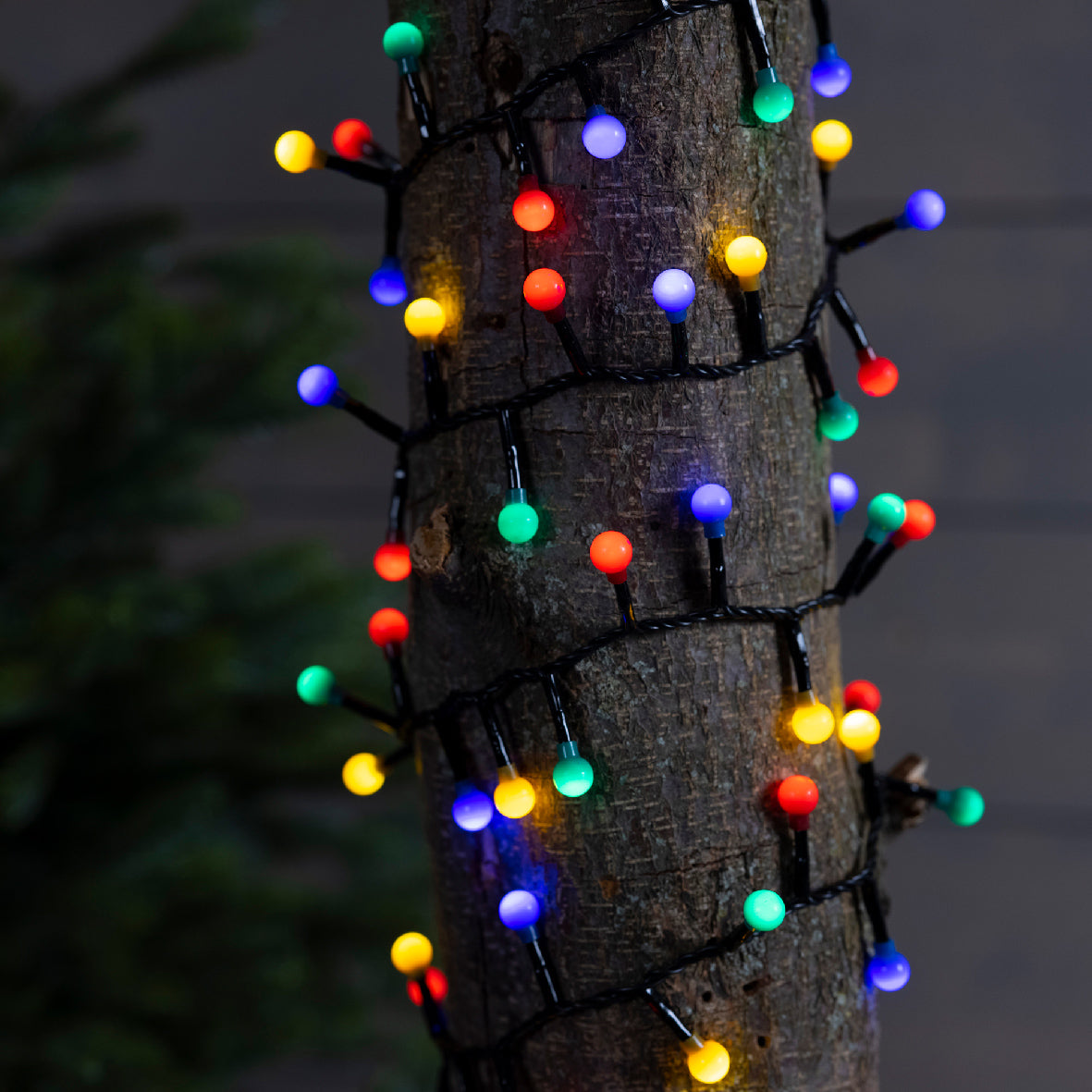 Catena LED Cherry Lights 11 m 500L –(cod. 495573/76/79) – Lumineo