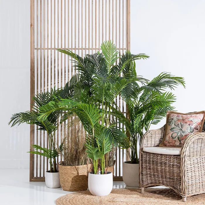 Pianta Palma Verde Artificiale 170 cm
