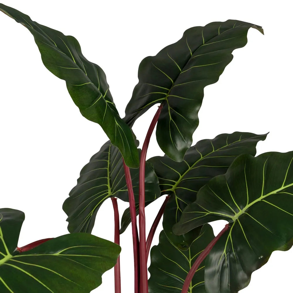 Pianta Colocasia Verde Artificiale da Giardino 80x80x160 cm