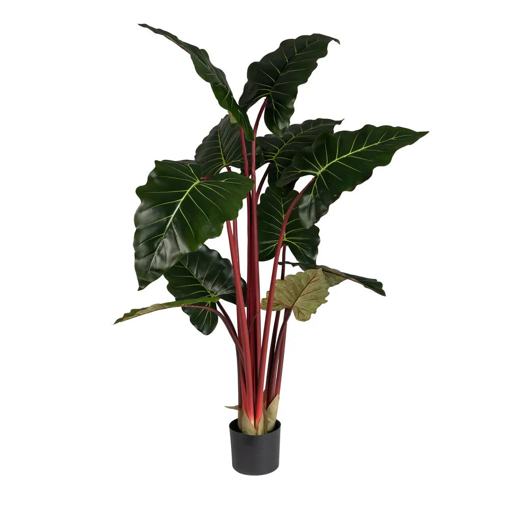 Pianta Colocasia Verde Artificiale da Giardino 80x80x160 cm