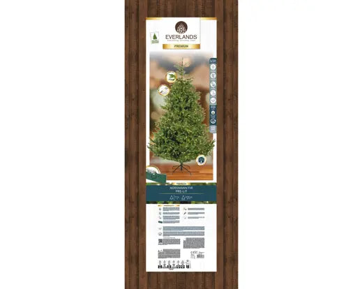 Albero di Natale Nordmann Fir 210 cm con 900 Micro LED – Ø150 cm Everlands