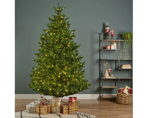 Albero di Natale Nordmann Fir 210 cm con 900 Micro LED – Ø150 cm Everlands