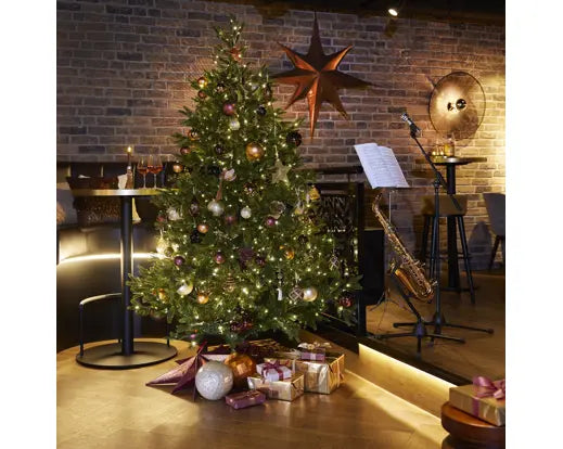 Albero di Natale Nordmann Fir 210 cm con 900 Micro LED – Ø150 cm Everlands