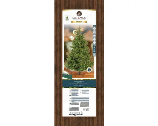 Albero di Natale Nordmann Fir 240 cm con 1200 Micro LED – Ø165 cm Everlands