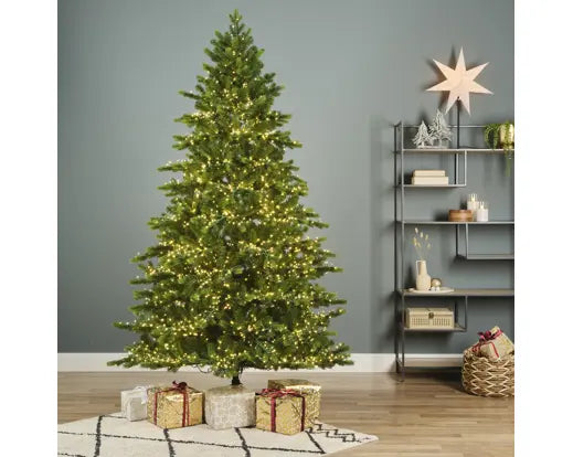 Albero di Natale Galloway Spruce 270 cm con 7500 LED – Ø160 cm Everlands