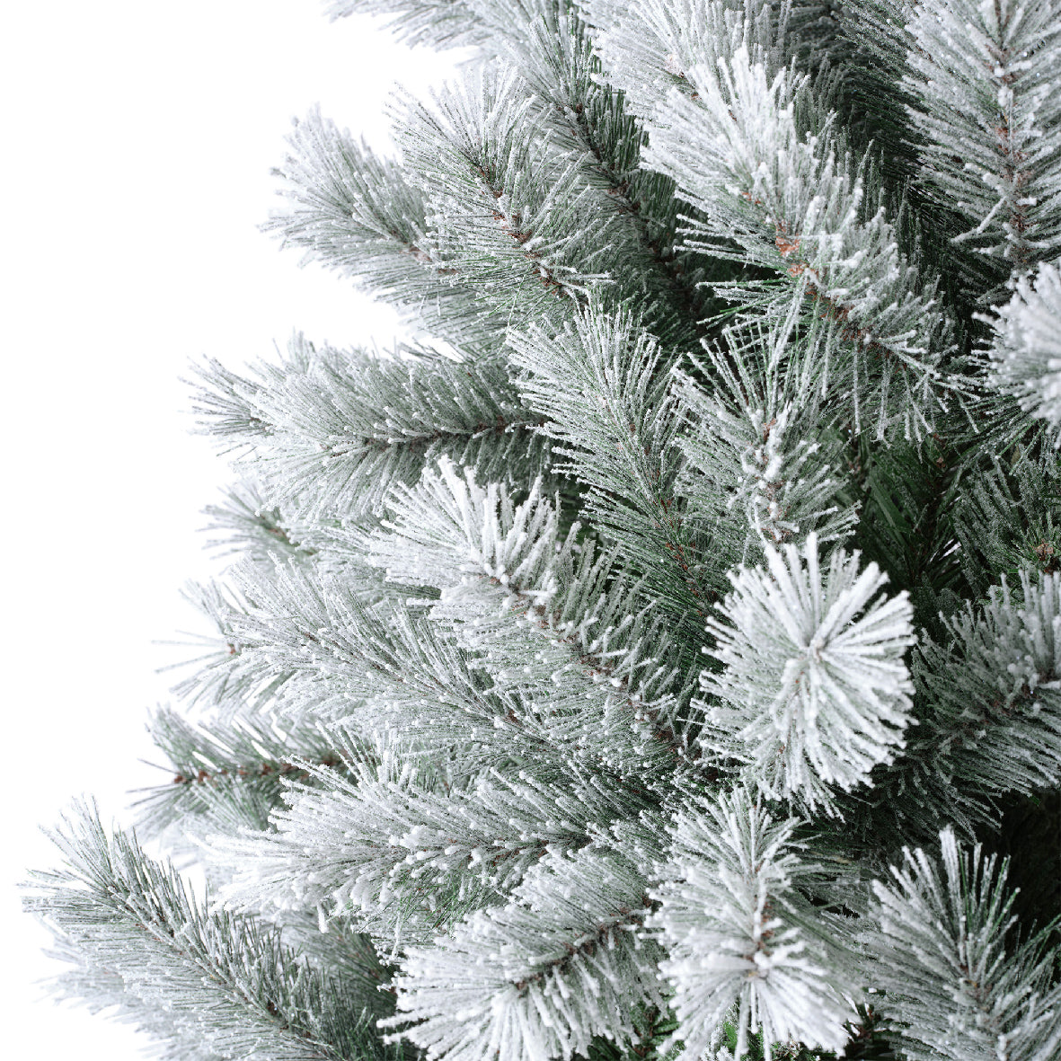 Albero di Natale Canada Spruce Frosted 240 cm Ø150 cm Everlands – 1.910 Punte