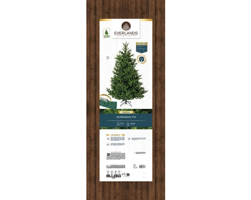 Albero di Natale Nordmann Fir 180 cm Ø130 cm (cod. 684306) – Everlands