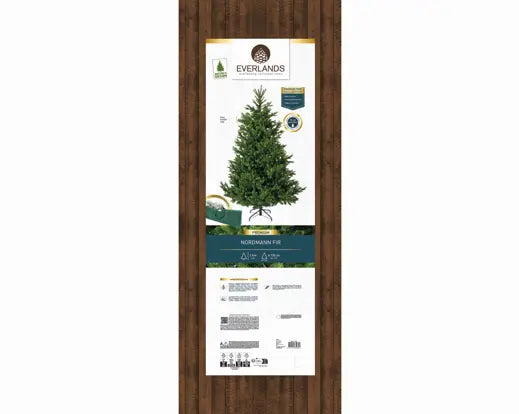 Albero di Natale Nordmann Fir 180 cm Ø130 cm Everlands – 2.599 Punte PE/PVC