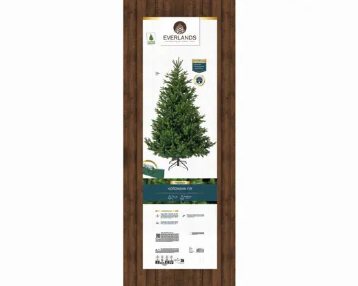 Albero di Natale Nordmann Fir 210 cm Ø150 cm Everlands – 3.566 Punte PE/PVC