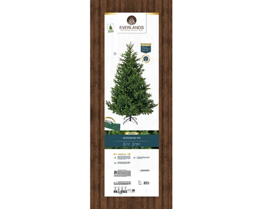 Albero di Natale Nordmann Fir 210 cm Ø150 cm (cod. 684307) – Everlands