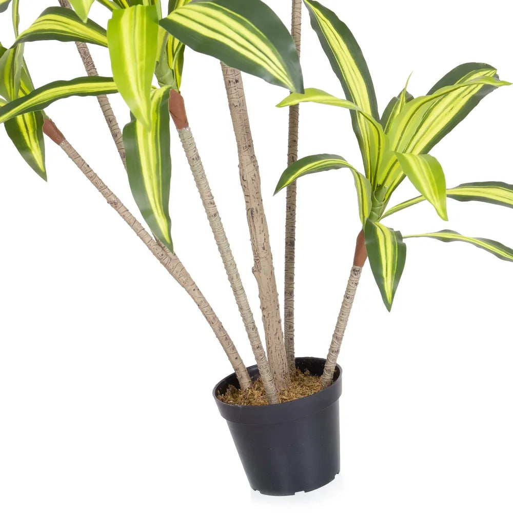Pianta Dracena Artificiale da Esterno 180 cm - Certificazione UV 3 Anni