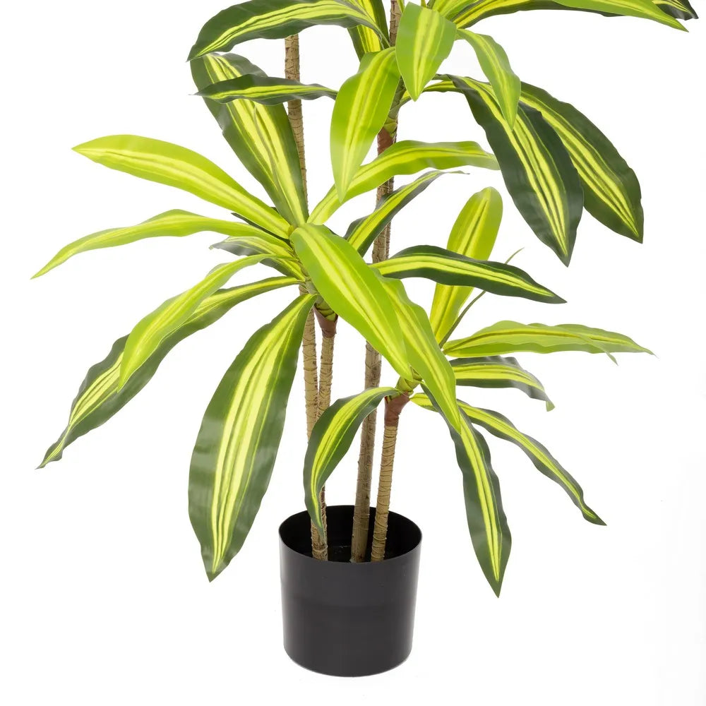 Pianta Dracena Artificiale da Esterno 180 cm - Certificazione UV 3 Anni
