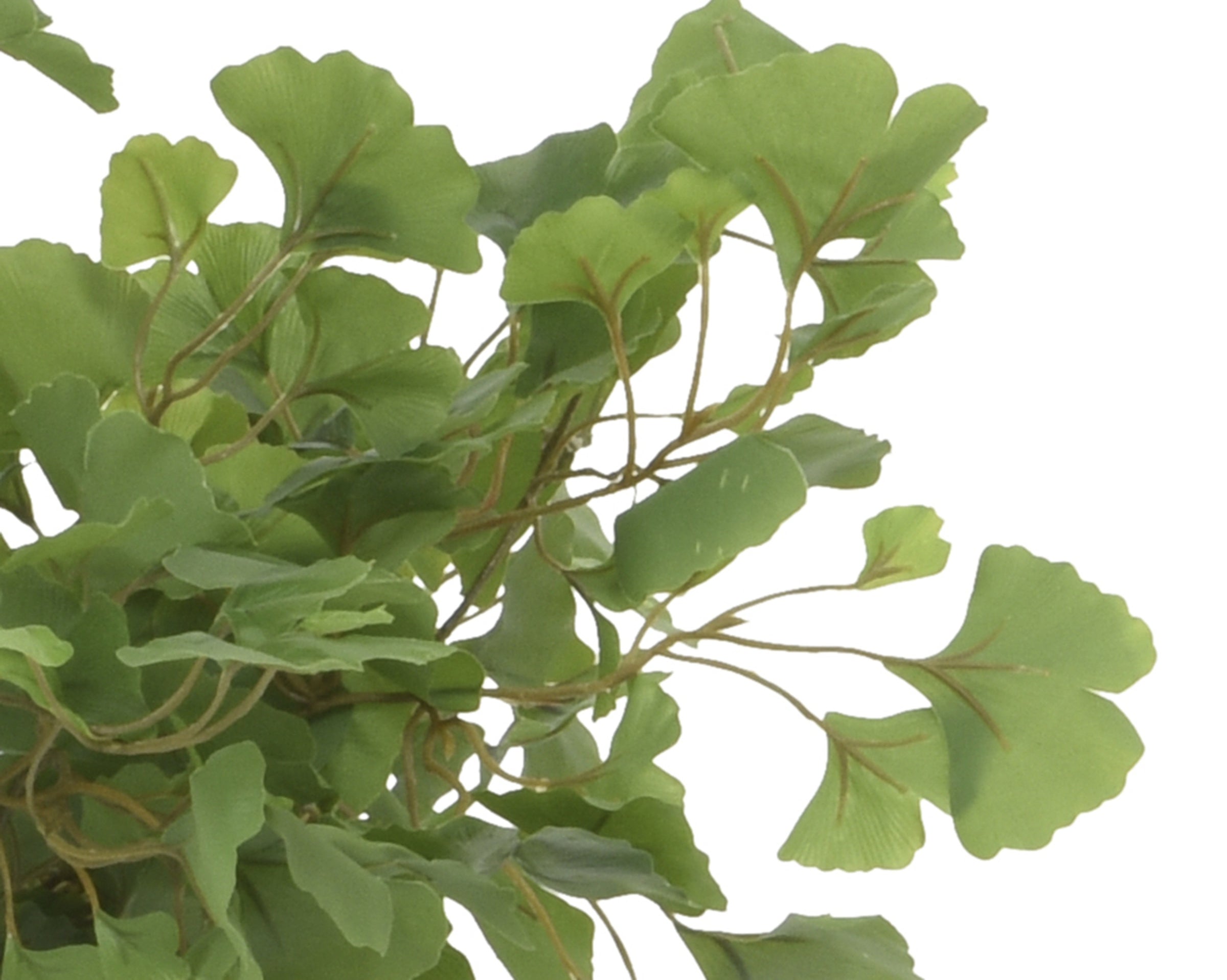 Pianta Artificiale Ginkgo in Vaso H 150 cm – Effetto Naturale
