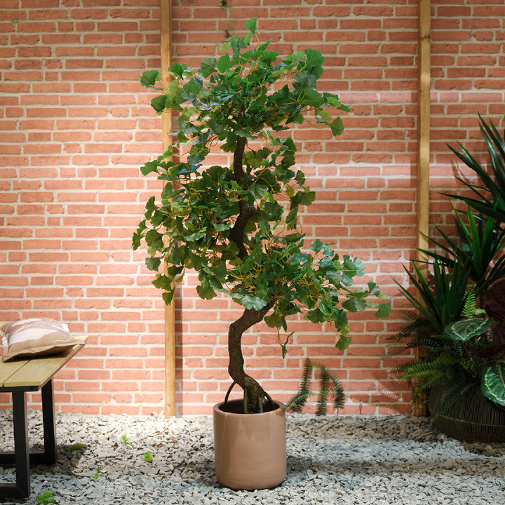 Pianta Artificiale Ginkgo in Vaso H 150 cm – Effetto Naturale