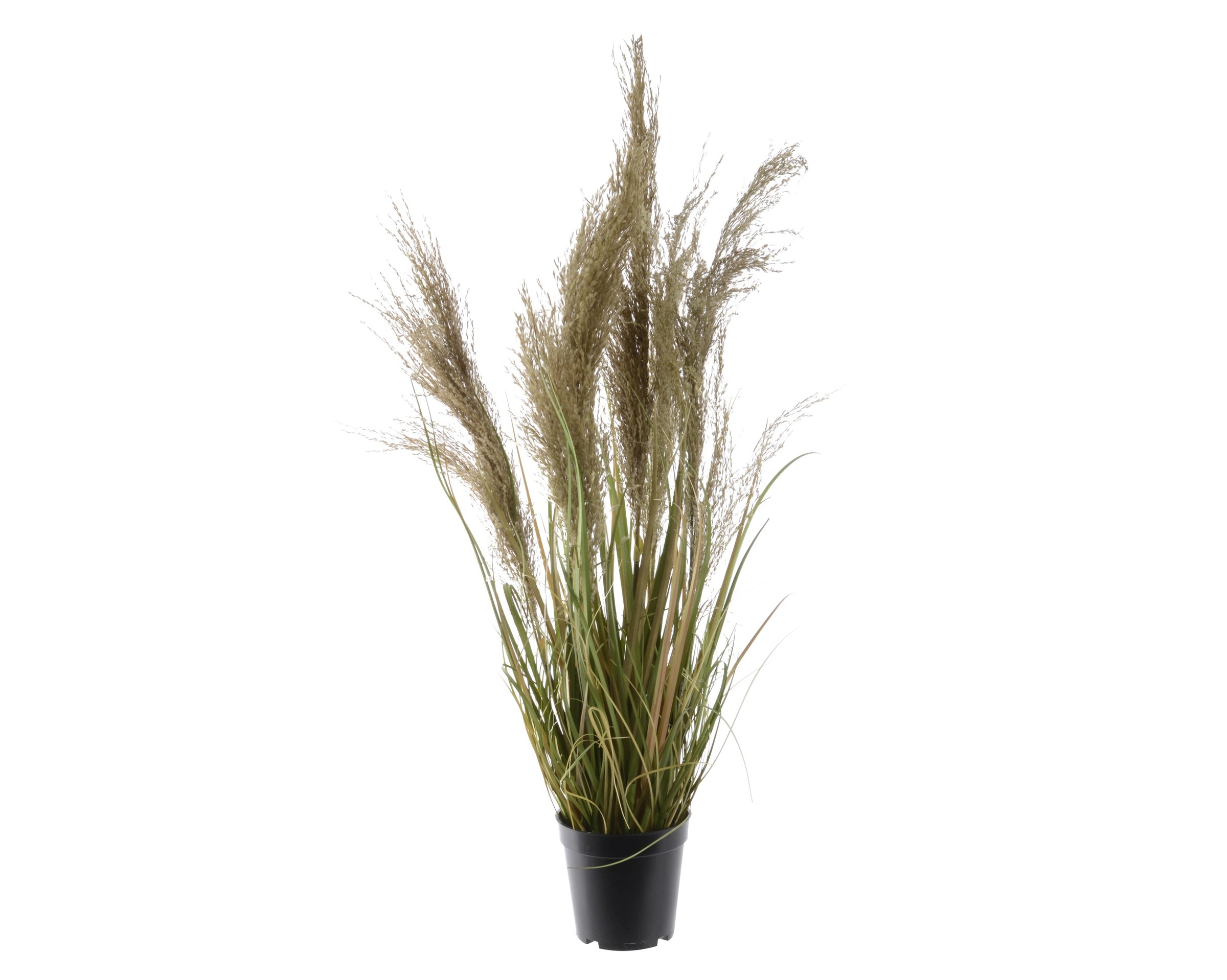 Pianta Artificiale con Piume in Vaso H 115 cm – Stile Naturale
