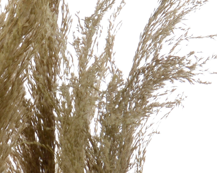 Pianta Artificiale con Piume in Vaso H 115 cm – Stile Naturale