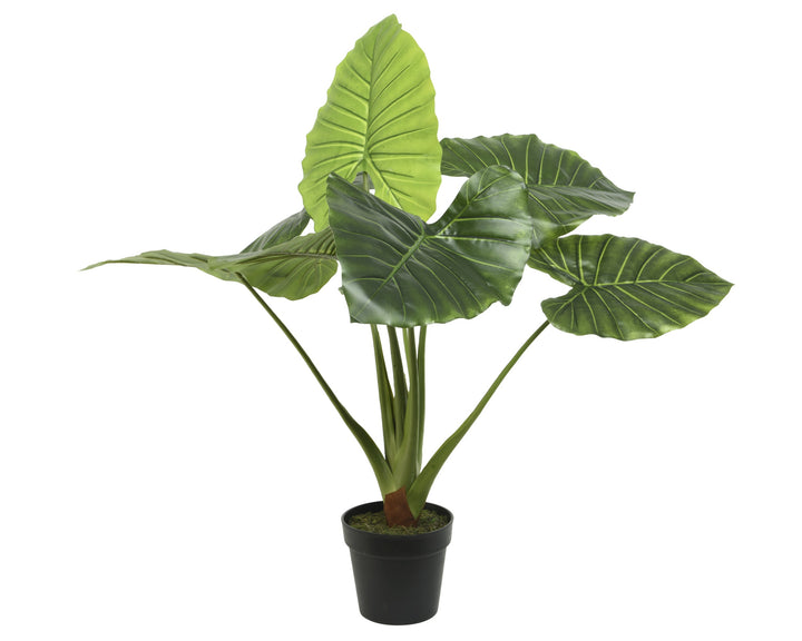 Pianta Artificiale Taro in Vaso H 91 cm – Effetto Tropicale