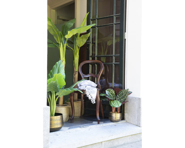 Pianta Artificiale Taro in Vaso H 91 cm – Effetto Tropicale